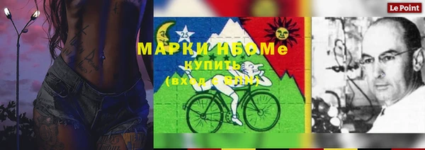 индика Михайлов