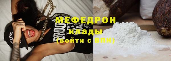индика Михайлов
