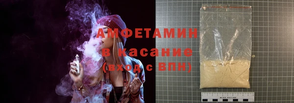 индика Михайлов