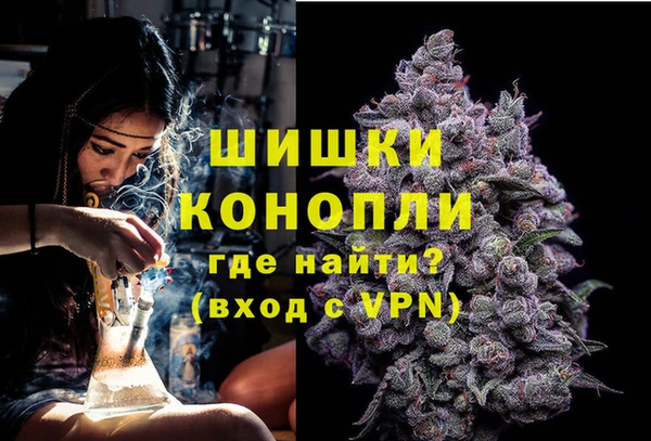 индика Михайлов