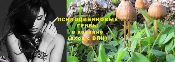 синтетический гашиш Медвежьегорск