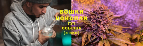 индика Михайлов