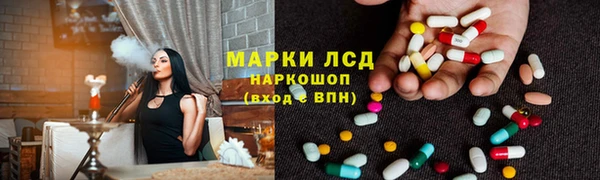 индика Михайлов