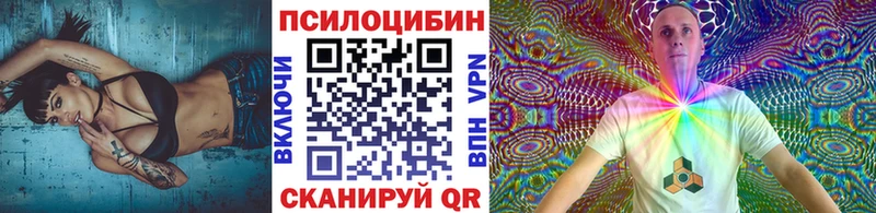 закладки  Покровск  Галлюциногенные грибы GOLDEN TEACHER 